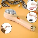 Self Cleaning Hair Brush, Massage Comb 